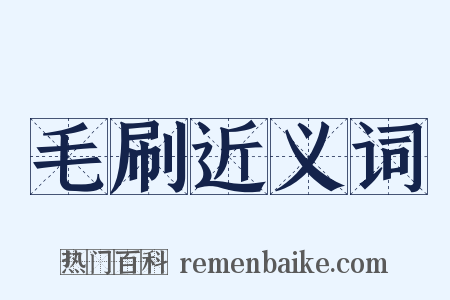 毛刷近义词是什么意思的图片